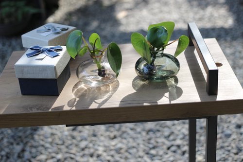 植物蔓蔓 l 水培植栽專賣 水培植栽│荷葉椒草 室內植物 辦公室盆栽 店內擺設 送禮