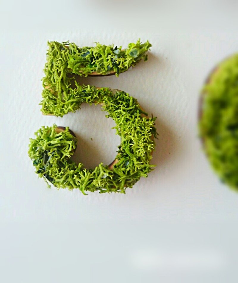 Wooden number object (moss) 5 cm /５x 1 piece - Items for Display - Wood Green