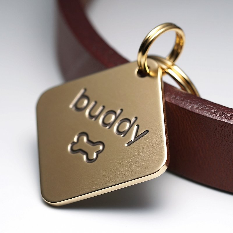Diamond Dog Tag, Brass Dog Tag, Personalized Pet ID Tags, Engraved Name tag - Other - Copper & Brass Gold