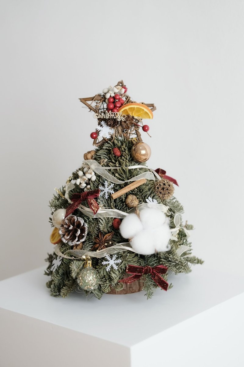 *2024 Christmas offer*25cm Nobel pine Christmas tree imported from Denmark, noble pine natural fragrance - Items for Display - Plants & Flowers Multicolor