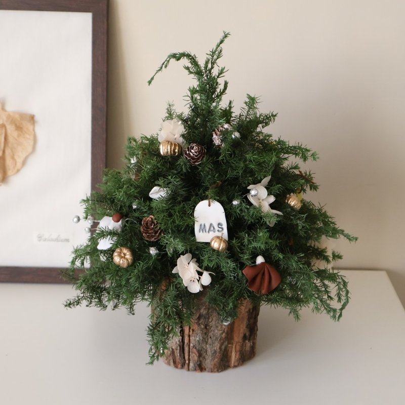 Ins 聖誕樹 聖誕花圈 聖誕禮物 交換禮物 聖誕佈置 - 乾燥花/永生花 - 植物．花 多色
