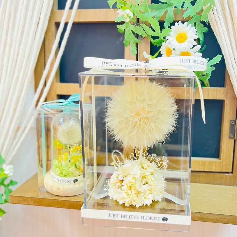 Big Dandelion Display diameter as big as 10 cm - Dried Flowers & Bouquets - Plants & Flowers White
