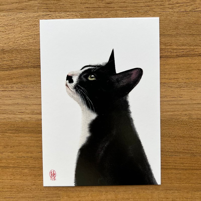 Gazing Cat Postcard - Cards & Postcards - Paper Multicolor