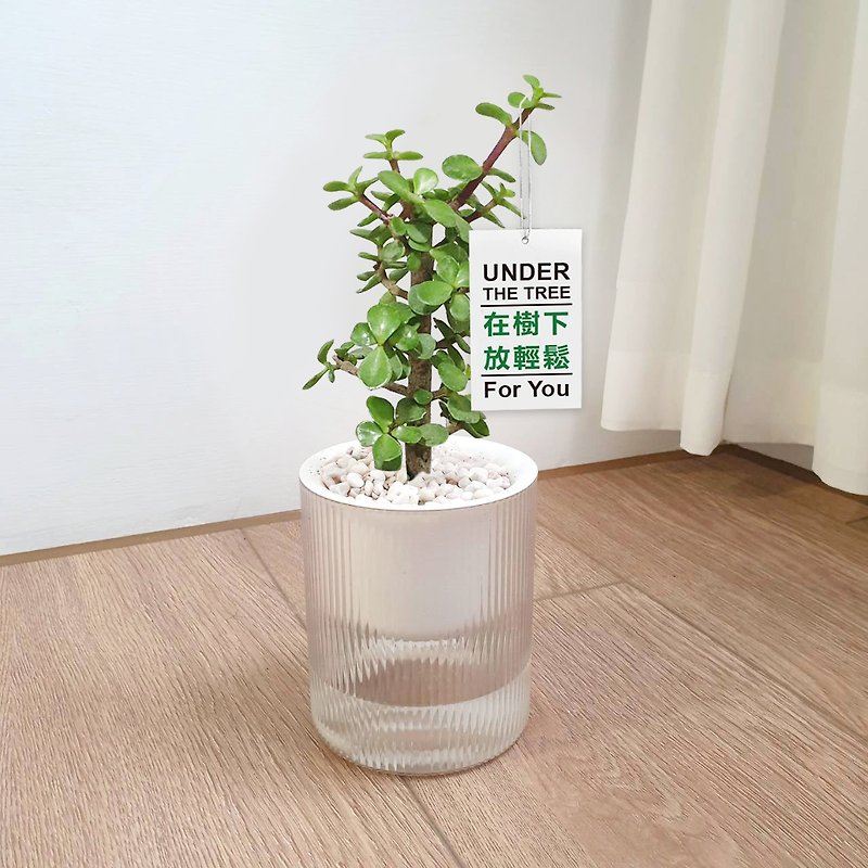 Muyinfeng automatic water-absorbing lazy potted plant - ตกแต่งต้นไม้ - พลาสติก สีเขียว