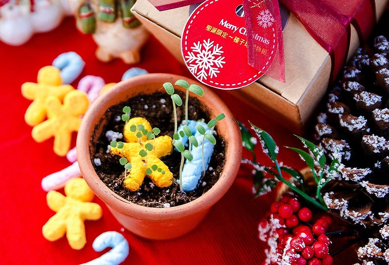 Christmas Styling Seed Ball Planting Christmas Gift / Gift / Indoor Potting - ตกแต่งต้นไม้ - กระดาษ 