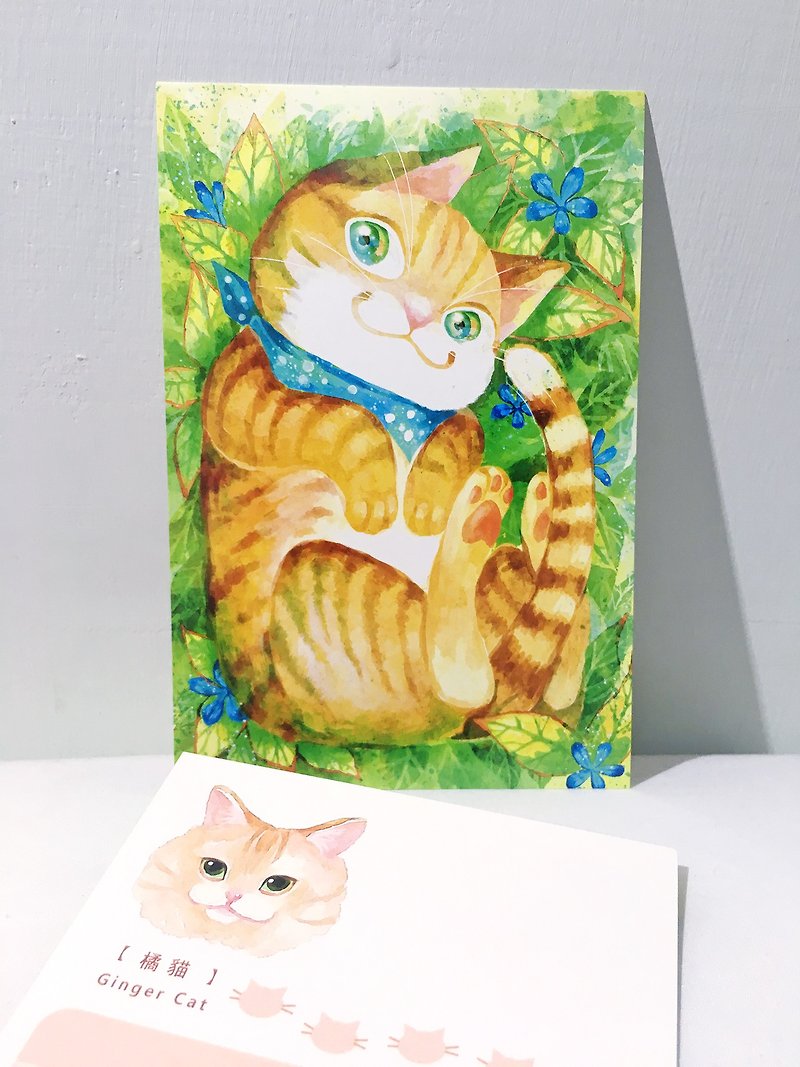 Energetic soft orange cat / double-sided postcard postcard - การ์ด/โปสการ์ด - กระดาษ สีเขียว