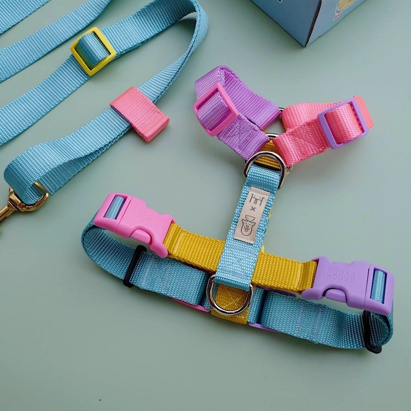 H HARNESS - Beta Collectioon x Gluta Story - Collars & Leashes - Nylon Multicolor