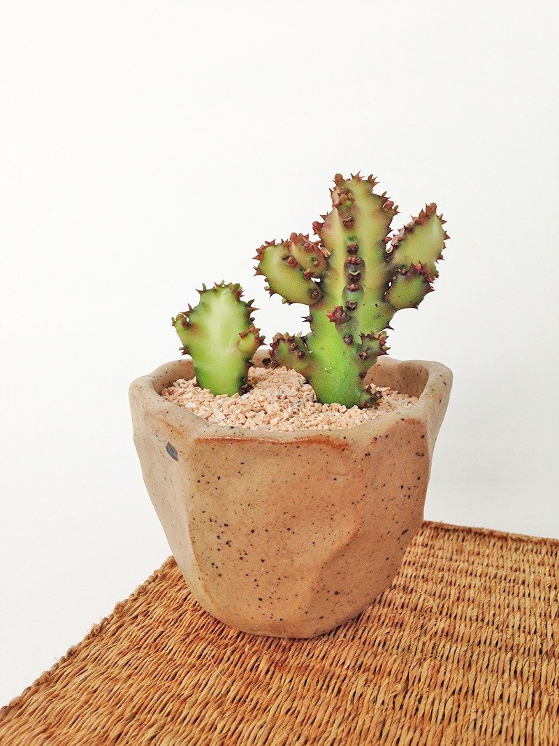 Small ceramic plant pot for cactus , handmade pottery , small pot - 盆栽/植栽 - 陶 咖啡色