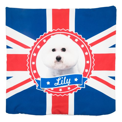 :toPET 【 :toPET客製化】抱枕連枕芯