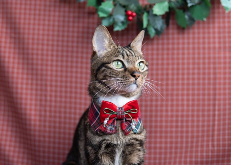 [Christmas Limited Series] Pet Scarf Cat/Dog Christmas Scarf-Black - Collars & Leashes - Cotton & Hemp Black