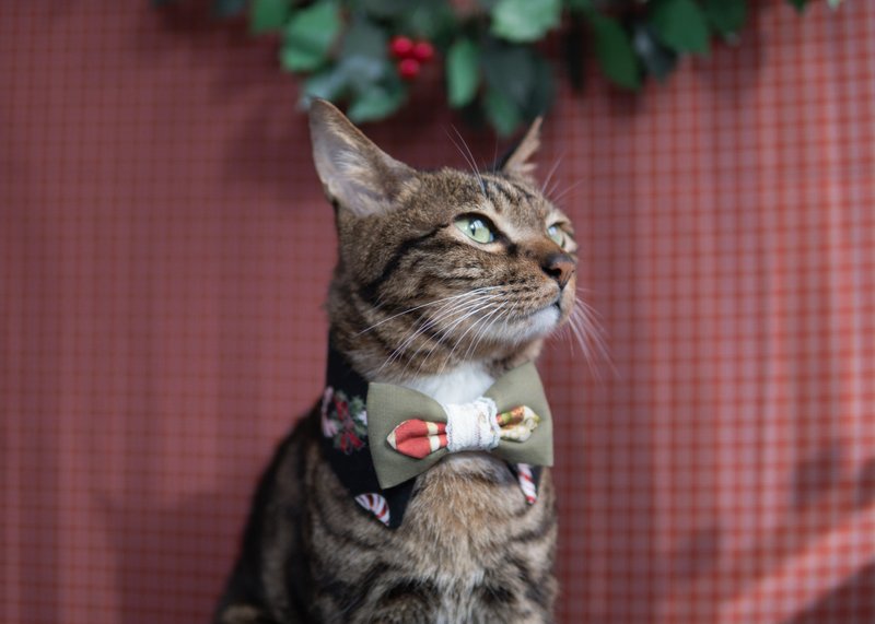 【聖誕限定系列】寵物領巾 貓咪/狗狗 聖誕領巾 - 黑 - 項圈/牽繩 - 棉．麻 黑色