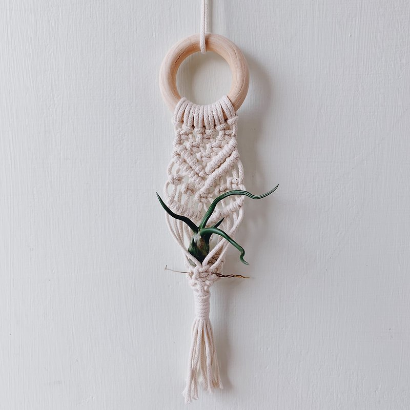 棉．麻 擺飾/家飾品 白色 - 空氣鳳梨編織籃 | Macrame mini air plant hanger
