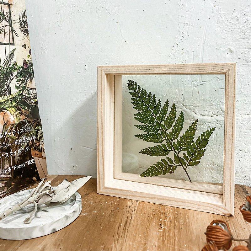 [Rabbit's Foot Fern Specimen Photo Frame] Room Decoration/Home Decoration - Plants - Wood Green