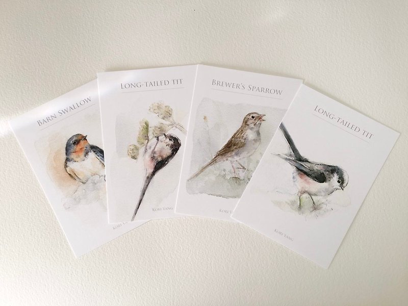 Birds postcard group G - Cards & Postcards - Paper 
