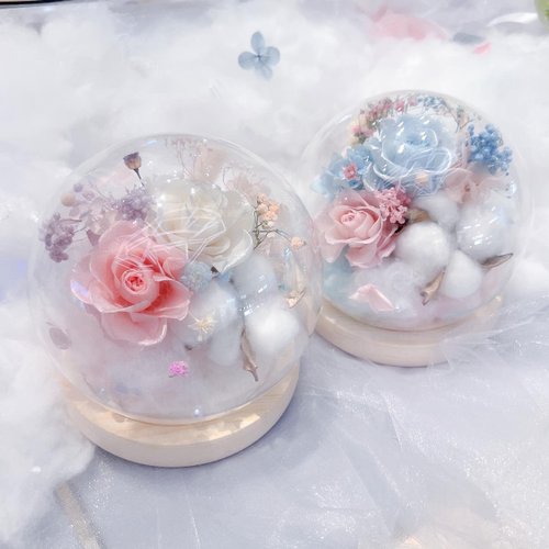 Chloris Fairy 花汝 雲朵玻璃罩 圓球玻璃罩 永生花玻璃罩