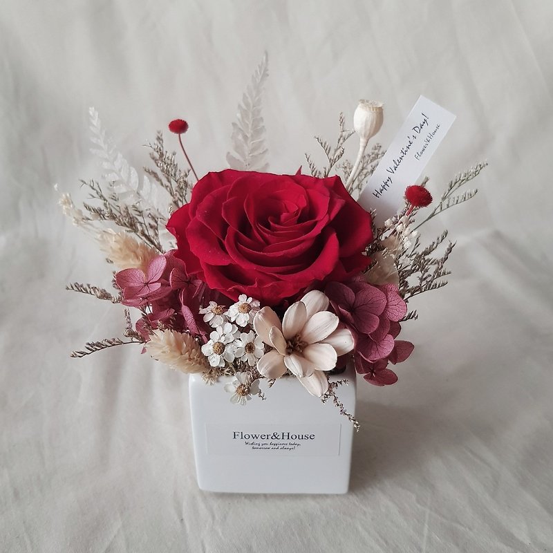Valentine's Day|Eternal Flower+Dried Flower|Classic Red|Dream Rose|Mini Potted Flower|Universal Congratulations - ช่อดอกไม้แห้ง - พืช/ดอกไม้ สีแดง