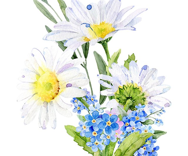 デイジーとワスレナグサ水彩 春の花のイラスト カモミールpng ショップ Elitawatercolorarts イラスト 絵画 カリグラフィー Pinkoi