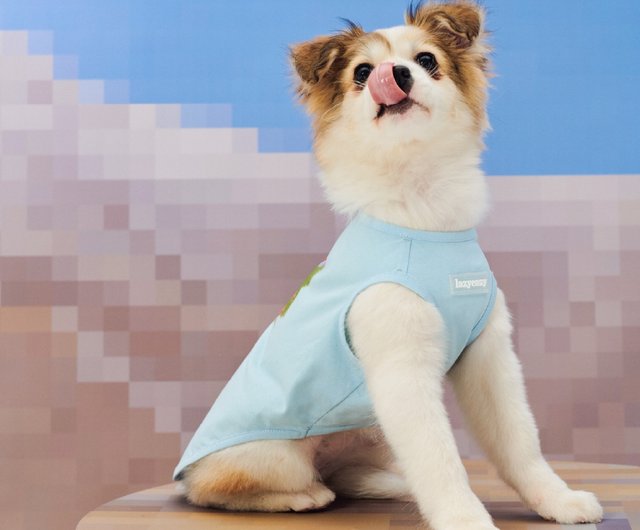 Medium sized dog store clothes