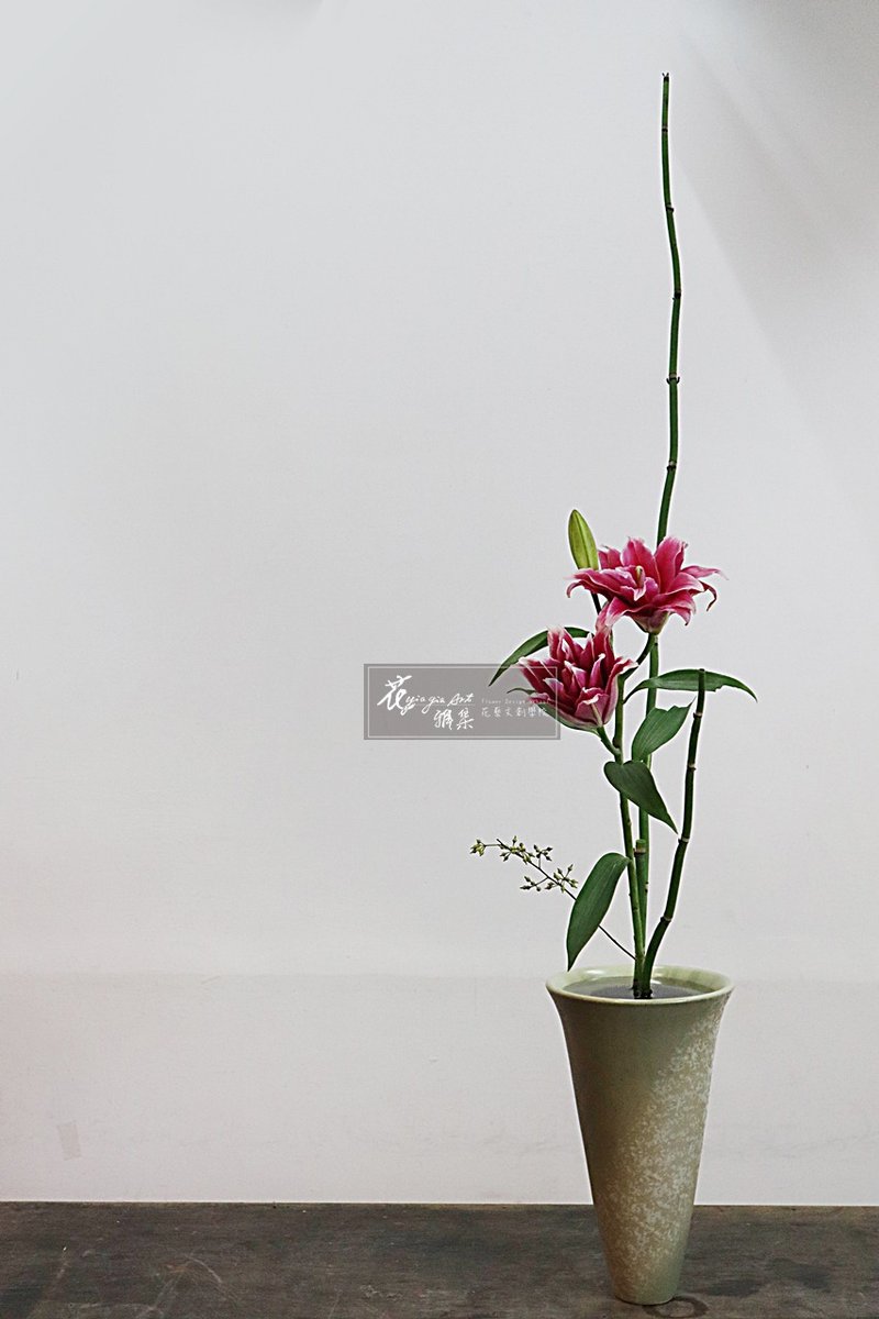池坊華道課程 - 植栽/盆栽 - 植物．花 