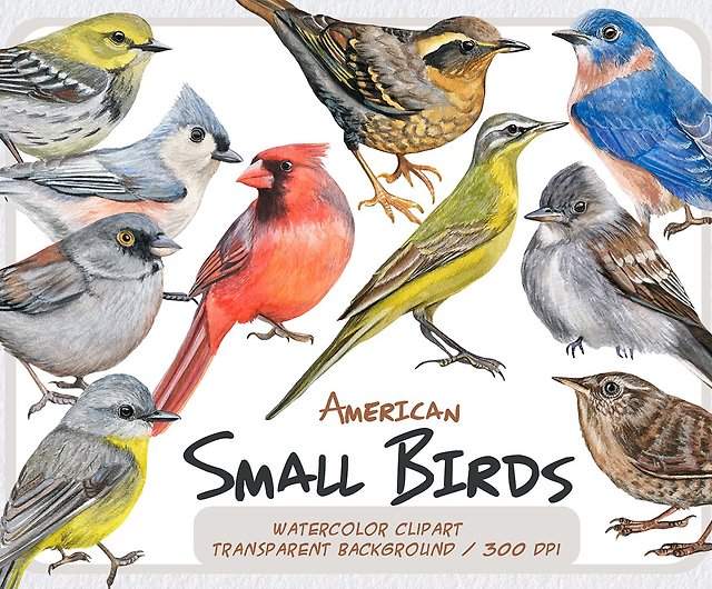 水彩鳥のクリップアート 手描きのリアルな小さなアメリカの鳥png ショップ Artfulstudio イラスト 絵画 カリグラフィー Pinkoi