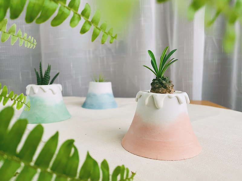 Shanlaan Special Collection - Lala Mountain | Succulent / Cactus / Air Pineapple Cement Potted Plants - Plants - Cement Pink