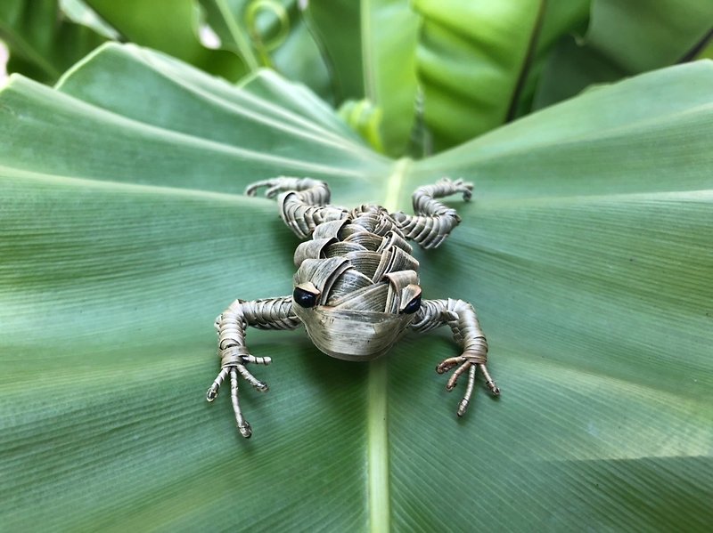 Palm leaf weaving frog polypedatid - Items for Display - Plants & Flowers Khaki