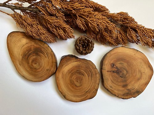 柘坊 台灣黃檜重油根瘤自然刻痕杯墊-手作溫度/永久散發木質芬芳
