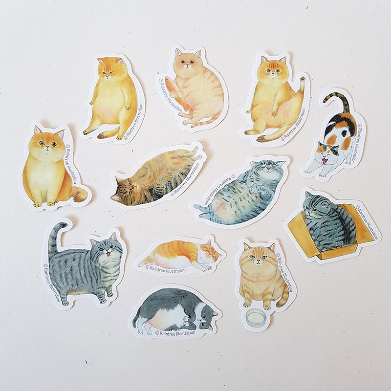 12 types of chubby cat cut-shaped waterproof stickers - สติกเกอร์ - วัสดุกันนำ้ 