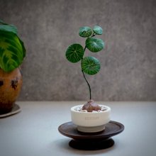 圓葉山烏龜－手工革製小盆栽 送禮