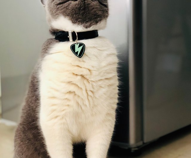 Whistle 2024 cat collar