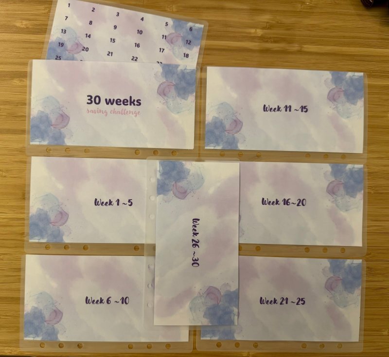 30 weeks saving - 其他 - 塑膠 紫色