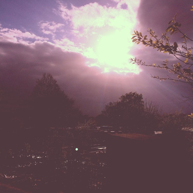 一個未知的世界│無酸相紙│英國製作│可自行裱褙│原作出清 - 海報/掛畫/掛布 - 紙 紫色