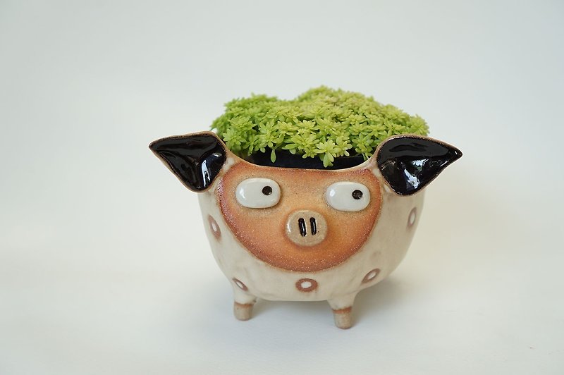 Pig pot , cactus , handmade ceramic , pottery - 花瓶/陶器 - 陶 粉紅色