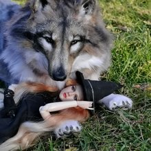 2025厳選】アートドールの人気商品｜グローバル通販Pinkoi