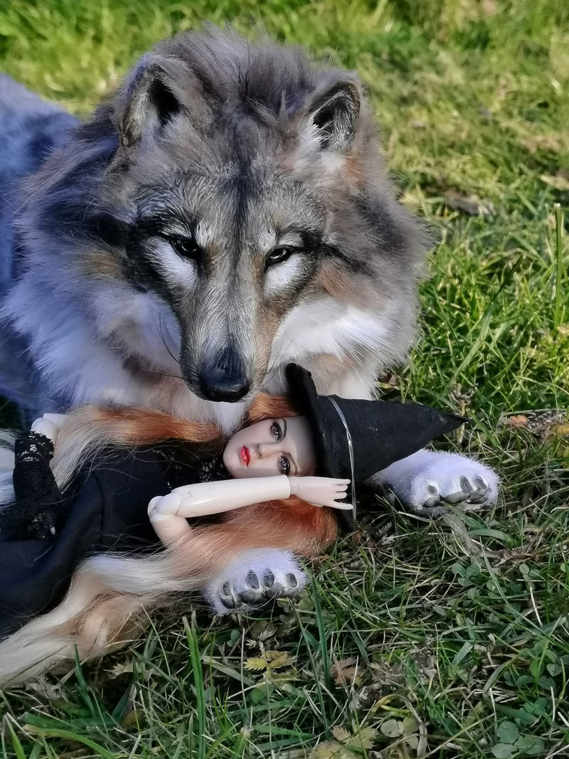 made to order Wolf realistic animal stuffed poseable artdoll - 公仔/玩偶 - 其他人造纖維 灰色