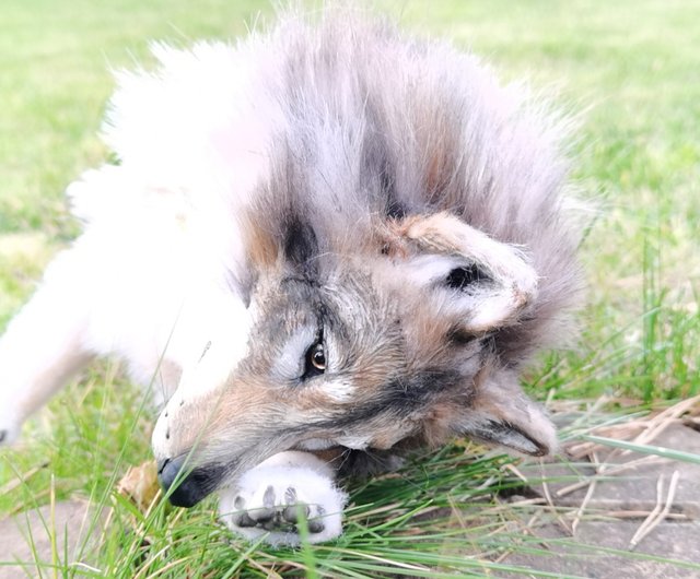 オーダーメイドウルフリアルな動物のぬいぐるみポーズ可能な