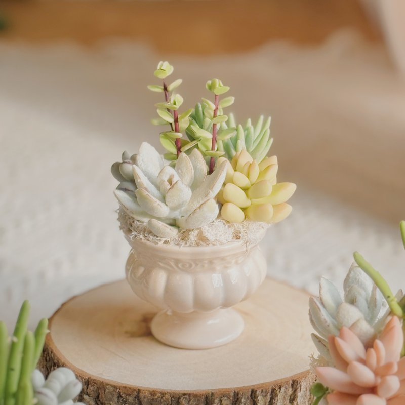 Exquisite succulents-E-2 - Champions Cup (small) with gift box and bag - ของวางตกแต่ง - ดินเหนียว สีเขียว