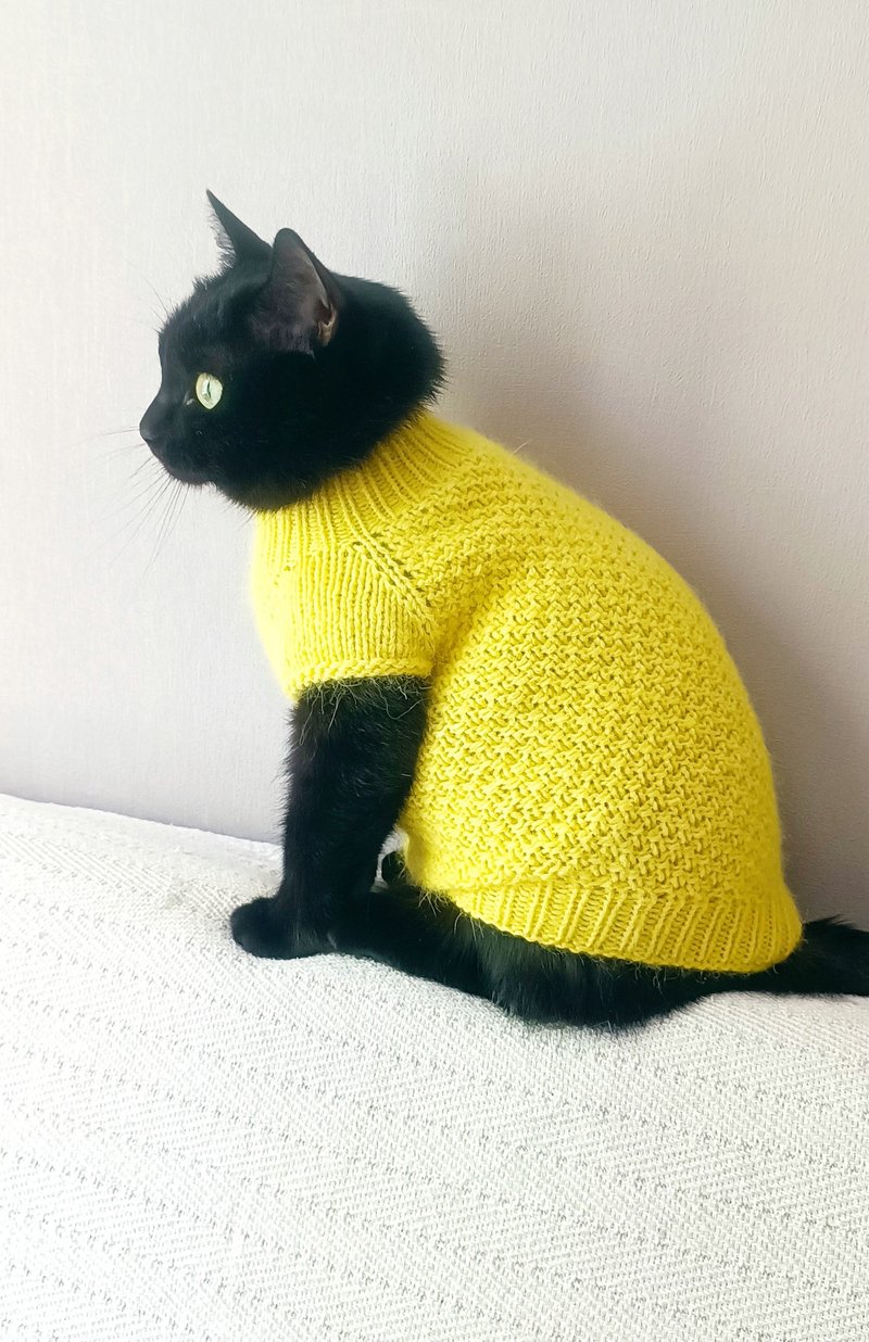 Sweater for cats Pet clothes Knitting cat jumper Small dog clothes handcrafted - ชุดสัตว์เลี้ยง - ขนแกะ 