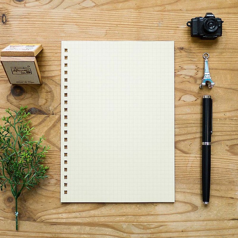Bulk Pack – A5 /Grid Paper (Double Side)/ 20 Holes or 6 Holes - Notebooks & Journals - Paper White