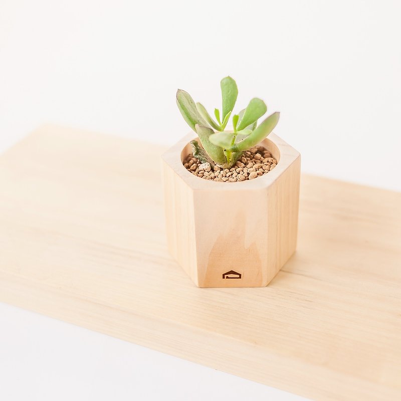 [Honeycomb wooden pot L, height 6cm] does not contain plants│succulent log flower vessel graduation gift teacher gift - เซรามิก - ไม้ 