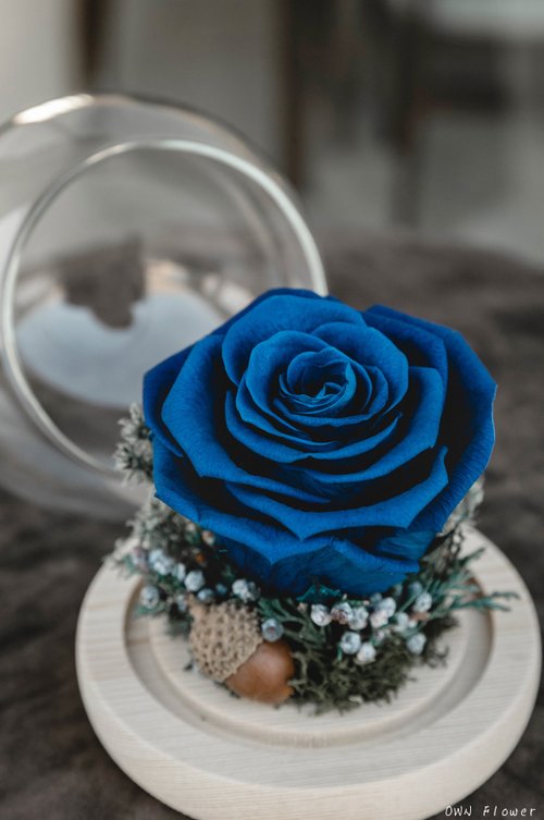 OWN Flower花藝設計 永生藍色玫瑰/聖誕禮物/永生花玻璃盅/生日禮物/交換禮物/不凋花
