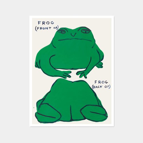 LIGHTO 光印樣 【藝術掛畫】David Shrigley | 青蛙(正面),青蛙(背面)