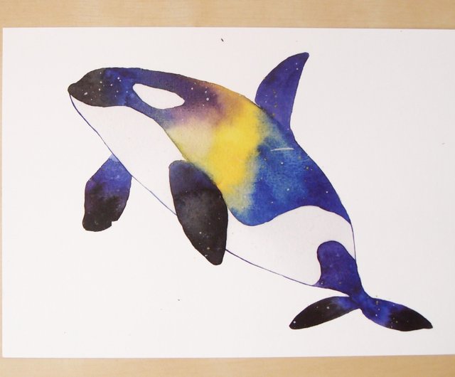 イラストレーター水彩画 星空シャチクジラはがき ショップ Rice Worm Studio カード はがき Pinkoi