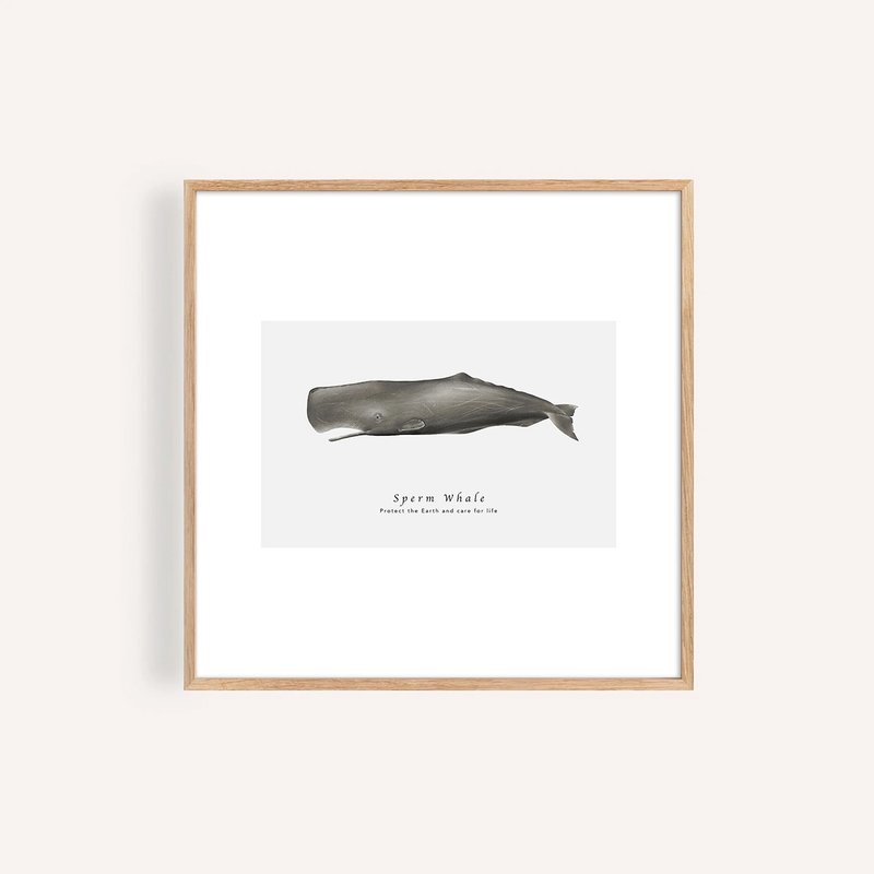 抹香鯨 Sperm Whale / 海洋動物插畫掛畫 / 藝術無框輸出 - 海報/掛畫/掛布 - 紙 