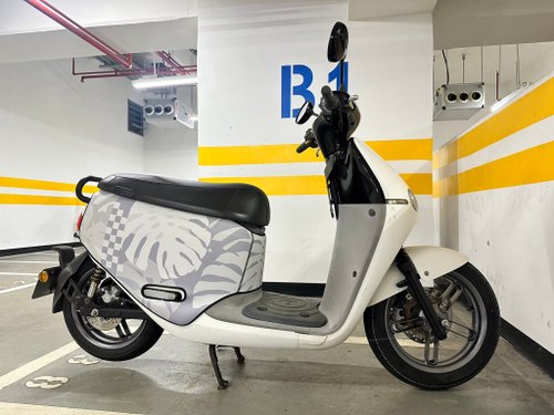 黑眼圈先生 熱帶雨林(原色灰) gogoro系列車套 防刮車套 龜背芋