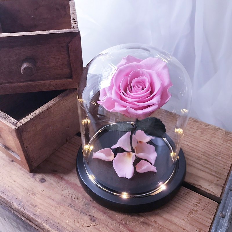 Beauty and the Beast - Pink Rose / Opening Gift / FLORA - ตกแต่งต้นไม้ - พืช/ดอกไม้ สึชมพู