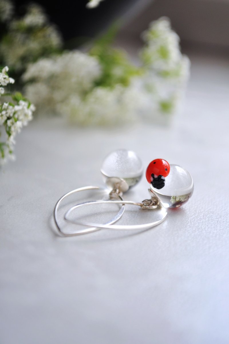Water drop earrings with ladybug Kawaii earrings Insect jewelry Dangle earrings - 耳環/耳夾 - 玻璃 透明