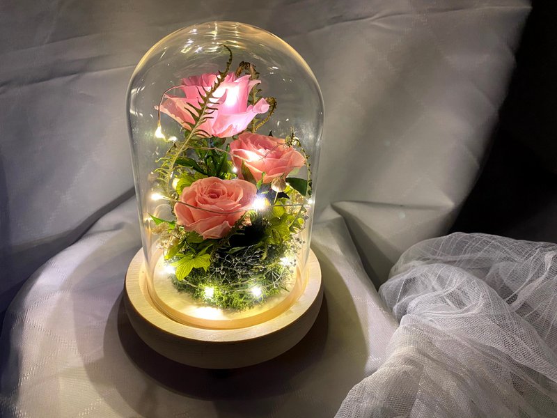 不凋玫瑰夜燈玻璃罩盅 含禮盒 玻璃罩 生日禮物 新婚禮物 情人節 - 乾燥花/永生花 - 玻璃 粉紅色