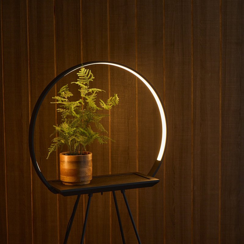 camino X MASSIMO Halo Lamp 植生圓柔燈桌 植物燈 擺飾 LED 燈 - 燈具/燈飾 - 其他材質 黑色