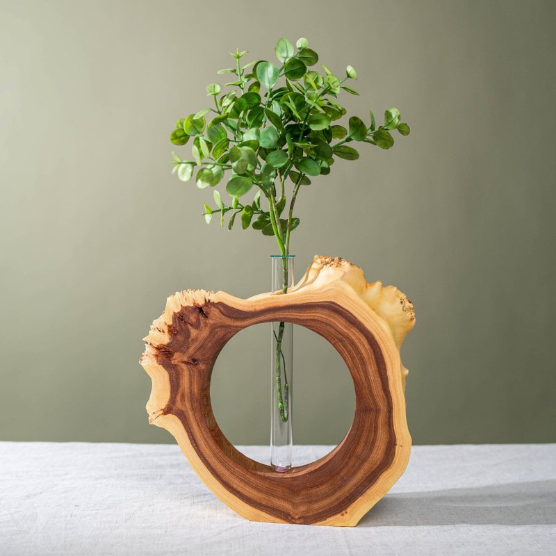 Unique handmade vase driftwood art / Elm ecofriendly wood vase glass container - ของวางตกแต่ง - ไม้ สีนำ้ตาล